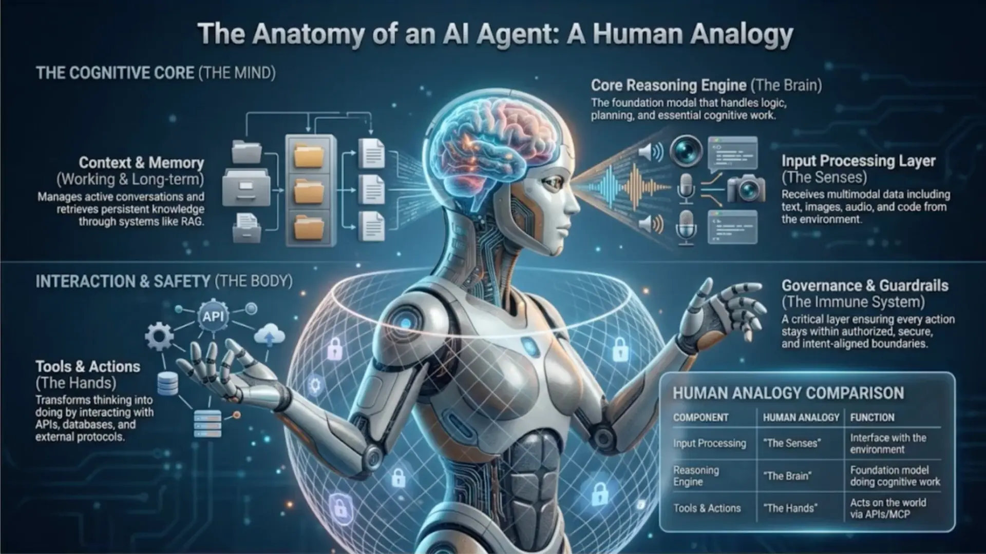 The Anatomy of an AI Agent: a human analogy showing the brain, senses, memory, hands and immune system of an AI agent